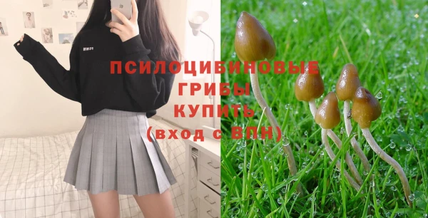 mdpv Волоколамск